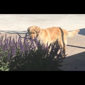 Meet your Posher, Katelyn